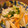 SYNDY's cooksnap of when they made ＊豆もやしとキャベツの煮物＊.