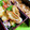 ❀akiko❀'s cooksnap of when they made パパッと！簡単ちくわの照り焼き.
