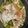 クックTMJ0SZ☆'s cooksnap of when they made タイのアクアパッツァ.