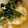 9ma9ma's cooksnap of when they made 【簡単もう一品】昆布だしのフワたまスープ.