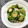 emiiem's cooksnap of when they made ほうれん草とオクラ、えのきの和え物.