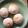 みるく茶's cooksnap of when they made ■MK917■ふわっふわクルミ食パン.