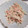 きらり流れ星's cooksnap of when they made ごぼうとツナの和風サラダ.