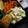 ガメコ's cooksnap of when they made レンジで枝豆ポテトさっぱりサラダ.