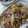 main73's cooksnap of when they made 簡単！厚揚げ・もやし・豚肉のタレマヨ炒め.