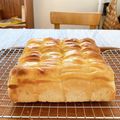 まりにゃう's cooksnap of when they made ふんわりちぎりパン*クリームチーズがけ*.