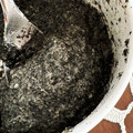 菜つ実☆ミ's cooksnap of when they made 簡単すぎる♡黒ゴマペースト.