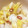 クックOBSDVC☆'s cooksnap of when they made 簡単に和食屋さんの白菜のお漬物.