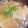 ブランシュkuu's cooksnap of when they made ほっこり優しい★簡単ワンタンスープ.