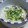 ロクシタンマニア's cooksnap of when they made しめじと卵のとろとろスープ.