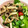 ☆yopipi's cooksnap of when they made 超→簡単☆エリンギ・しめじのバター醤油♬.