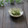 まろんかふぇ's cooksnap of when they made 簡単♪セロリの葉としらすの白だし炒め.