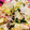 ♡ぽちすけ♡'s cooksnap of when they made 簡単副菜♪レタスとわかめの中華風サラダ.