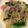 ベティ３'s cooksnap of when they made 菜の花と生ハムの塩麹パスタ.