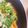 あたむ❤189's cooksnap of when they made 春菊の卵とじ.