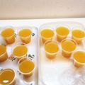 horseland's cooksnap of when they made 100%オレンジジュース☆ゼリー.