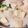 ある晴れた日曜日's cooksnap of when they made おでんリメイク☆簡単和風シチュー。.