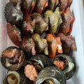 ゆぅちゃん0413's cooksnap of when they made 郷土料理☆アッパ貝（桧扇貝）の炊込みご飯.