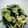 CHISA☆ごはん♪'s cooksnap of when they made わかめ、玉ねぎ、きゅうりの酢の物.
