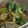 あゆたっくん's cooksnap of when they made 長葱のお揚げさんと炊いたん　おばんざい.