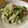 レディー・ババア's cooksnap of when they made ＊材料2つ＊豚こまとキャベツのクリーム煮.