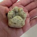 おじゃこむまろん's cooksnap of when they made 【犬用】バナナときなこのココナツマフィン.