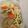 ゆり☆0308's cooksnap of when they made 短時間で染み染み大根の煮物♪.