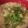 ヨシヨッシー's cooksnap of when they made 熱々簡単にゅうめん.