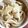 さむさん's cooksnap of when they made 子ども向け味噌煮込みうどん.