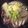 ベティ３'s cooksnap of when they made 生姜肉うどん.