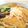 イエローバード's cooksnap of when they made きつねうどん.