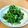 ＊sunlight＊'s cooksnap of when they made ほうれん草の胡麻和え.