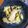 手抜きクック's cooksnap of when they made 白菜の塩昆布炒め.