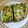 クックQYD64U☆'s cooksnap of when they made 煎餅果子（中国式クレープ）.