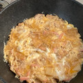 shibuyt428's cooksnap of when they made 玉ねぎトロッ♪かまぼこの卵とじ！木の葉丼.