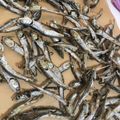 ユカtoマオマオ's cooksnap of when they made カルシウム補給に♫ カリカリごまいりこ✽.