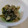 NEKOほっぺ's cooksnap of when they made ほうれん草と白菜の黒糖きな粉和え.