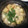 クックR77HYO☆'s cooksnap of when they made 簡単たこ焼き鍋.