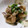めなよ's cooksnap of when they made たっぷりきのこと長芋の和風醤油炒め.