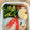 さゆゆゆこ's cooksnap of when they made 可愛く演出＊ハート形のゆで卵＊.
