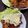 クック１４sato☆'s cooksnap of when they made 簡単★胃袋掴む！チキン南蛮.