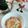 ＊＊ラテ＊＊'s cooksnap of when they made たらこと合う合う～♪春雨サラダ.