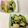 CHISA☆ごはん♪'s cooksnap of when they made 小松菜とササミのポン酢炒め.