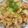 ねみねみ's cooksnap of when they made 鶏もも肉と白菜のオイスターソース炒め.