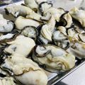 ♡マッキークッキング's cooksnap of when they made サッと茹で・チュルっと牡蠣ぽん.