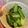 えみちょりん♪'s cooksnap of when they made 栄養満点♪ちぢみ菜の油炒め♪.