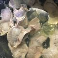 葉月優希's cooksnap of when they made 手でちぎれる程柔らかい砂肝の作り方と保存.