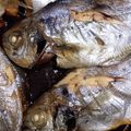 ハチミツぱる's cooksnap of when they made シズ（イボダイ）の煮付け.