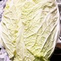 猫田おかわり's cooksnap of when they made 白菜の長期保存方法♪.