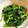 さちぶた♪'s cooksnap of when they made 簡単時短、お弁当用ほうれん草のおひたし.
